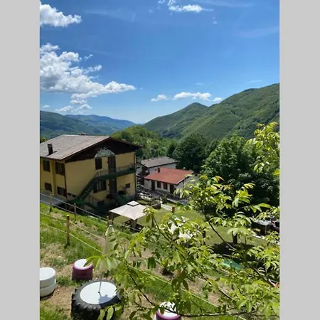 Apartment La Tana Dello Zio Sam Forest
